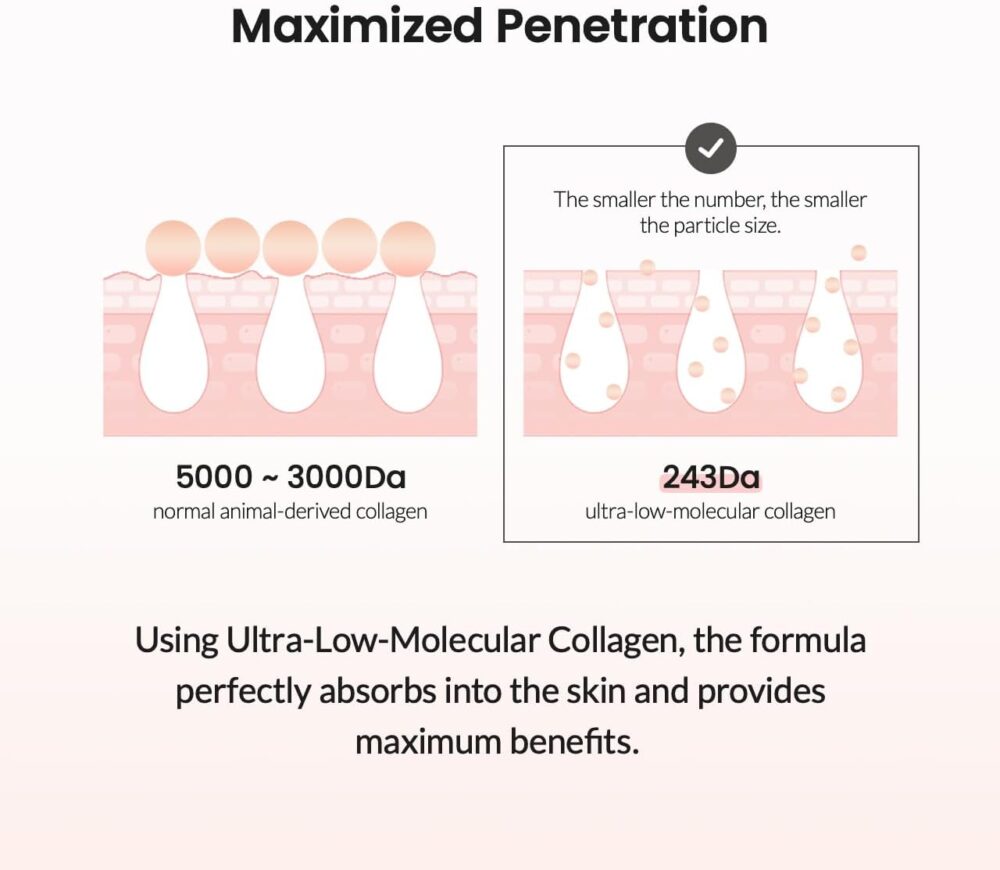 Biodance Pore Tightening Collagen Ampoule | Korean Collagen Serum for Face, Pore Minimizing & Anti Aging Face Serum for Women | 1.69 fl. oz x 1 ea – Image 5