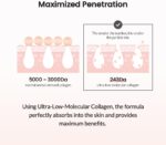 Biodance Pore Tightening Collagen Ampoule