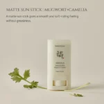 Beauty of Joseon واقي شمس ستيك مطفي