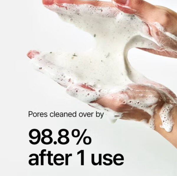 ANUA رغوة تنظيف عميق بالهارتليف والكورسيتينول – 150 مل